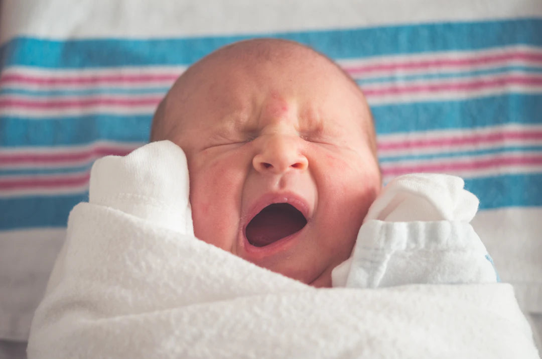 Your Guide to Baby's First Year: Milestones and Development